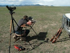 Lots of rifles,ammo and a good spotting scope.